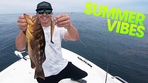 Excellent Summer fishing in local watersl | Calicos / Spotties | Warbaits Fishing