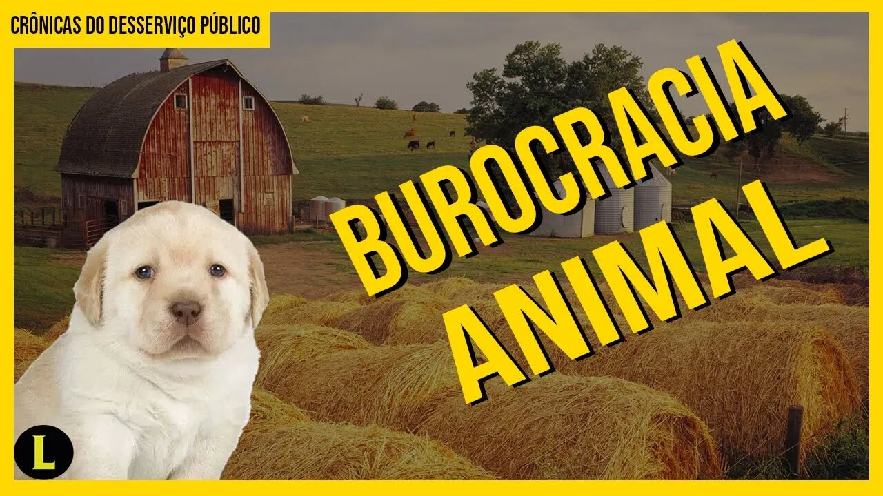 O Fazendão: a BURROCRACIA ESTATAL no mundo animal - parte 1