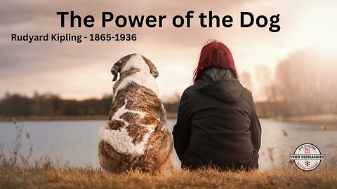 The Power of the Dog