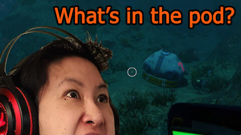 ZeroRaptor Plays Subnautica | Part 14 | I Found Markiplier!