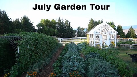 Midsummer Oasis: Mittleider Garden Tour and Report | July 20, 2023