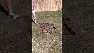 Fixing a Lawn Dead Spot