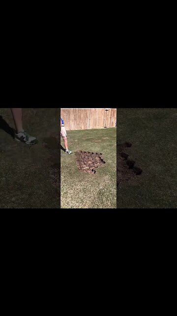 Fixing a Lawn Dead Spot