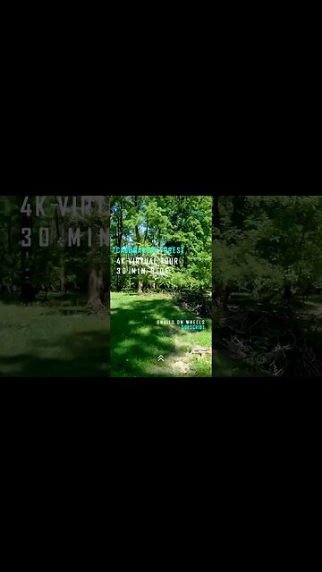 Calugareni Forest | Calugareni, Giurgiu | Ambiental music | 4k Virtual Tour | 🇷🇴