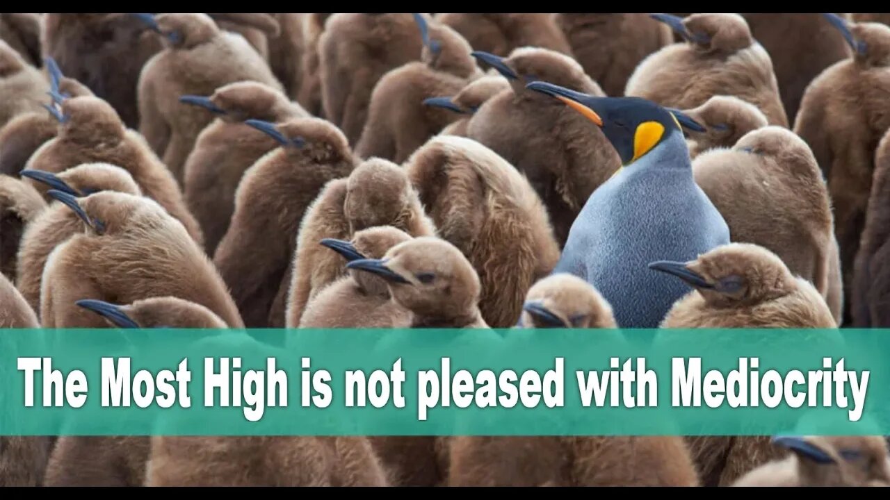 The Most High is not pleased with Mediocrity