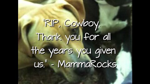 Cowboy Tribute (MammaRocks)