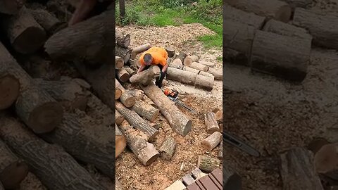 Cutting Firewood Logs #shorts