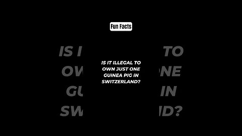 Is it illegal to own just one guinea pig in Switzerland? #shorts #funfacts #subscribe