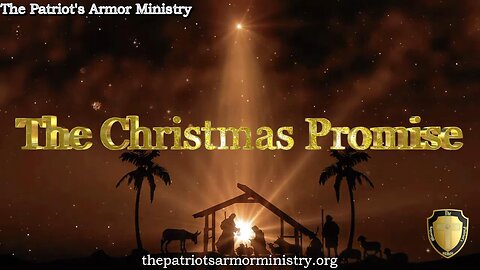 The Christmas Promise