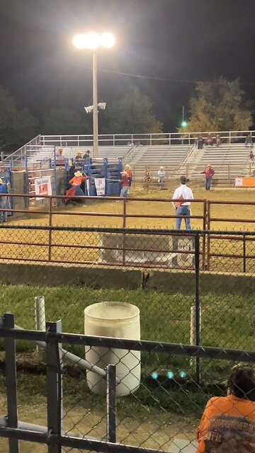 Bull Riding at Rodeo