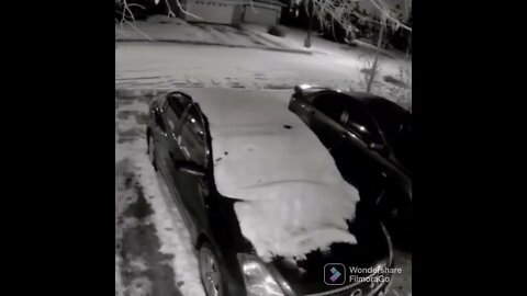 Walking dogs after snow