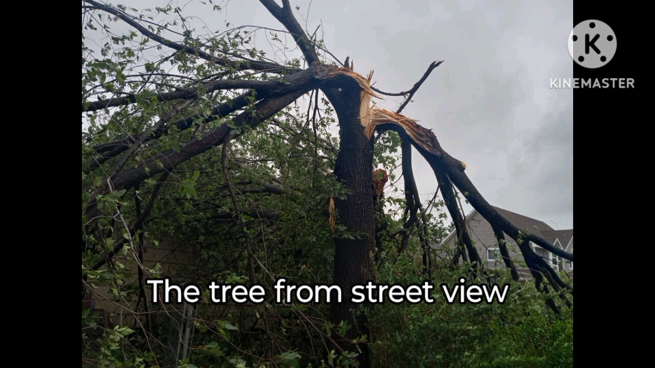 Alyssa Monsanto's Hurricane Beryl Experience