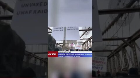 Freedom Fighters chant "Let’s Go Brandon" on Brooklyn Bridge