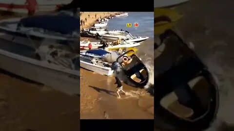 Amazing! sea attacks vs boat #shorts