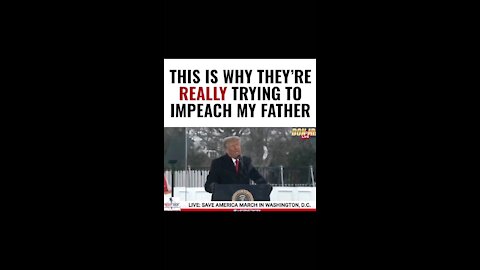 This is why they really trying to impeach my father - Don Junior