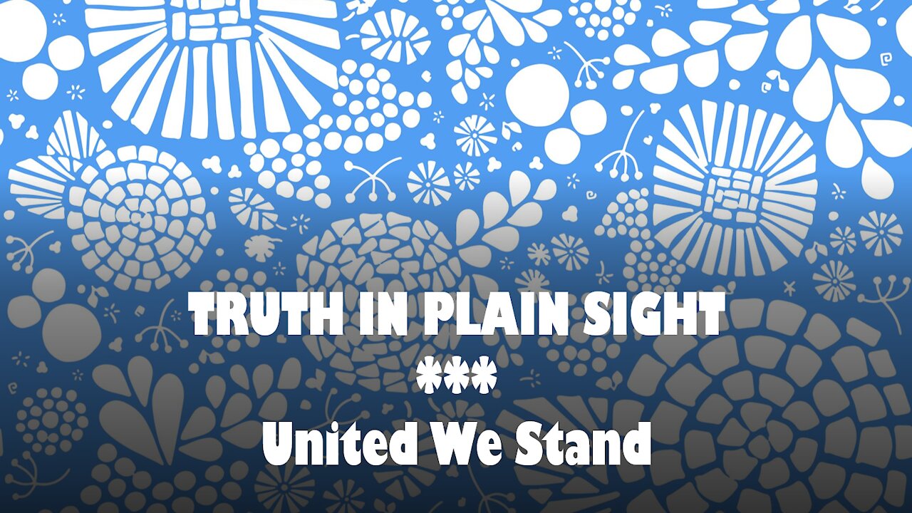 Truth in Plain Sight: United We Stand