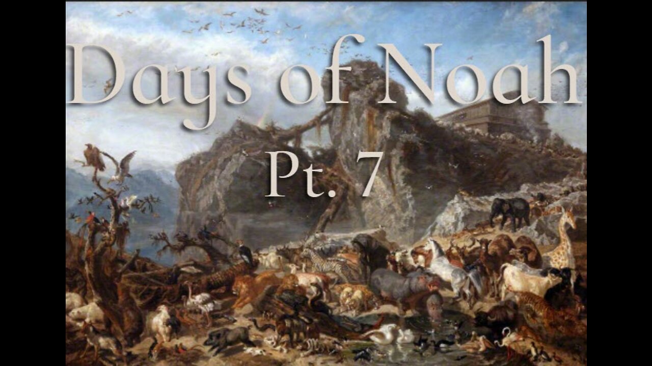 Days of Noah Pt. 7