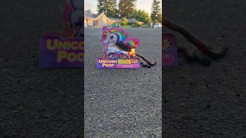 Unicorn POOP Firework #shorts