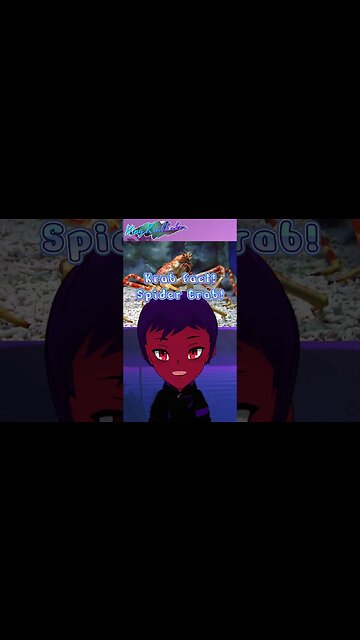 Krab Fact: Spidercrabs🦀