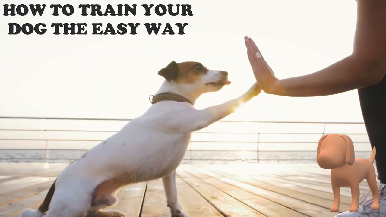 EASY BASIC DOG TRAINING?! How to train your dog the easy way!!