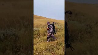 Hunting Mule Deer!