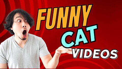 Funny Cat Videos Part 1