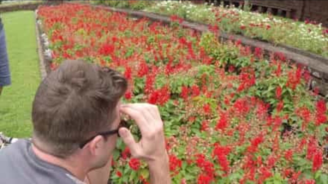 Touching: Young man sees colors for the first time