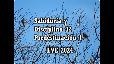 Sabiduría y Disciplina 32 - Predestinación 1
