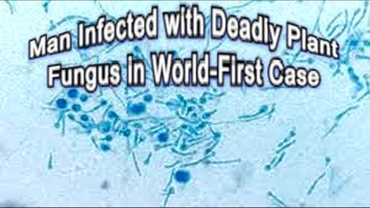 Man infected with deadly plant fungus in world-first case