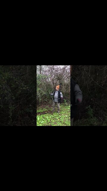 Clearing brush on the new homestead