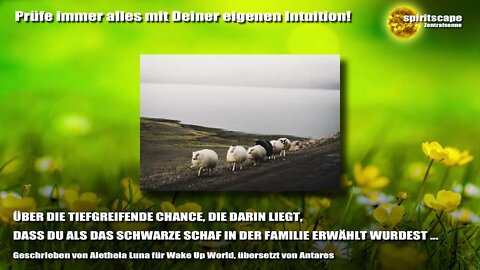 ÜBER DIE TIEFGREIFENDE CHANCE, DIE DARIN LIEGT, DASS DU ALS DAS SCHWARZE SCHAF IN DER FAMILIE ERW...