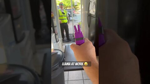 Lama at work 😂#viral #trending #shortvideos #viralvideos #shorts #tiktok #funny #ytshorts ##trend