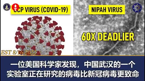 Where Wuhan (croronavirus) comes from?