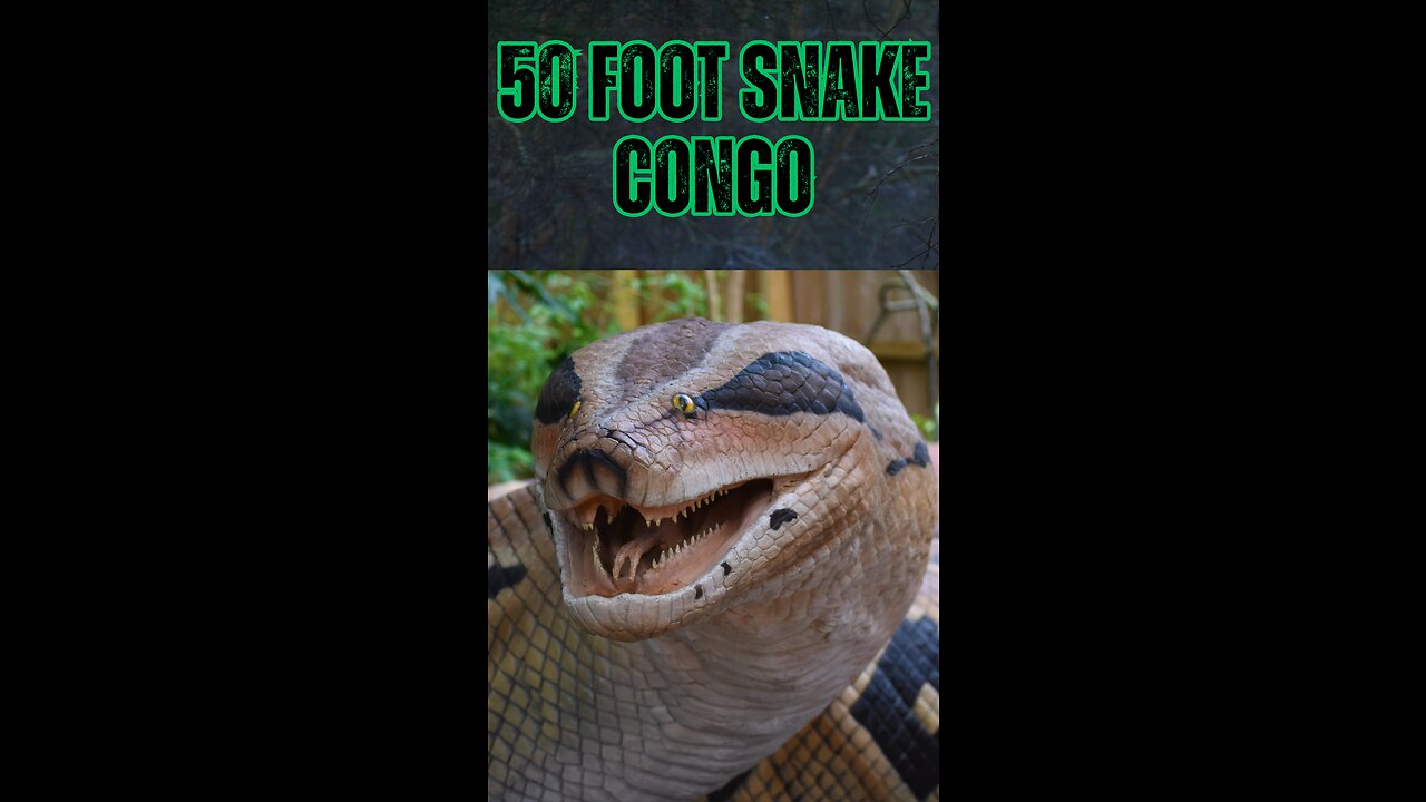 The Congo's 50-Foot Snake: Myth or Monster?