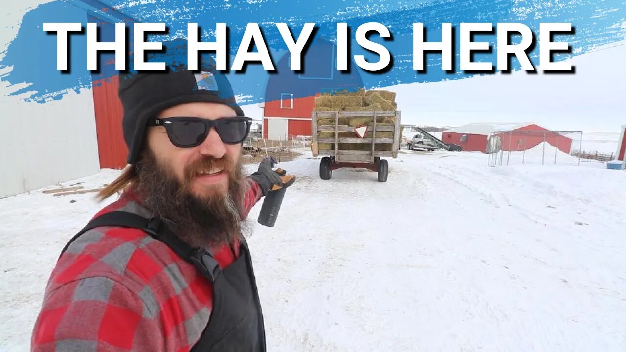 109 Bales of Hay | Can I Get It Unloaded Before Dark On My Own?