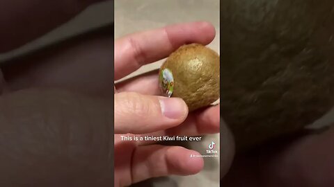 Tiniest Kiwi Fruit Ever