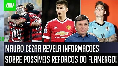 "É ISSO! Esse jogador VIRÁ PARA o Flamengo se..." Mauro Cezar FALA TUDO sobre POSSÍVEL REFORÇO!