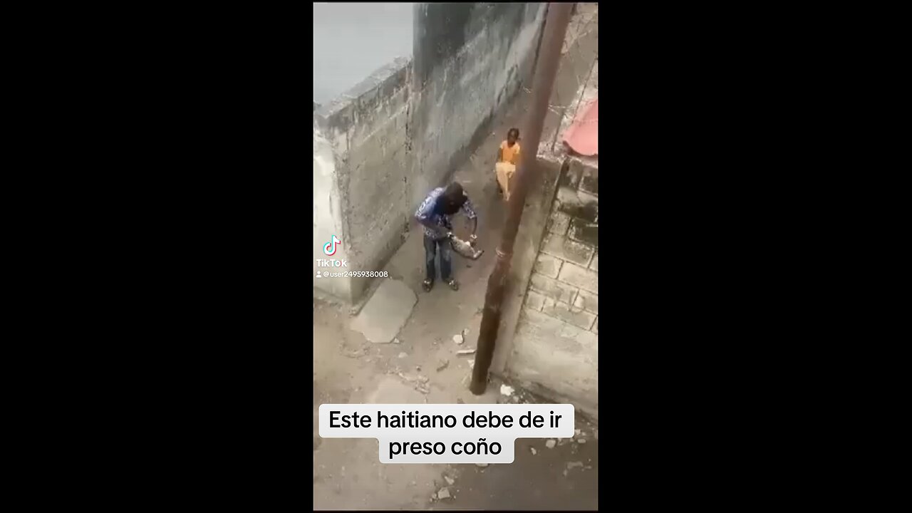 HAITIANO MALDITO MALTRATADOR DE ANIMALES