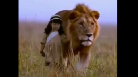 A little girl with a King Lion | Lion videos of the African Americans |