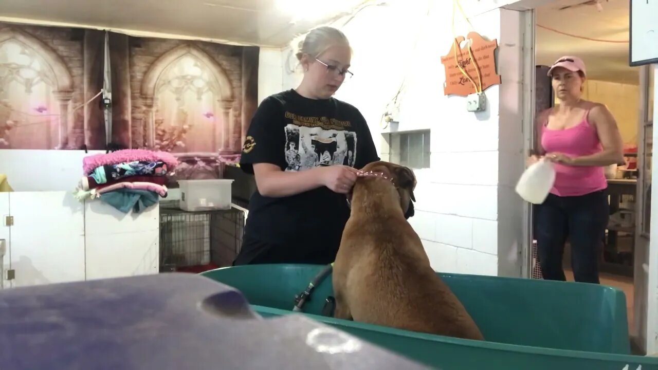 LonelyCreek Roxanna 10-3-22