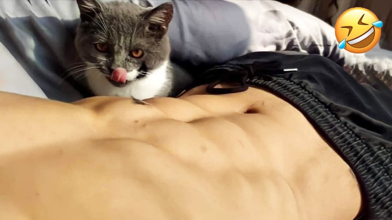Funniest Cats 😹 - Don't try to hold back Laughter 😂 - Funny Cats Hack - 5