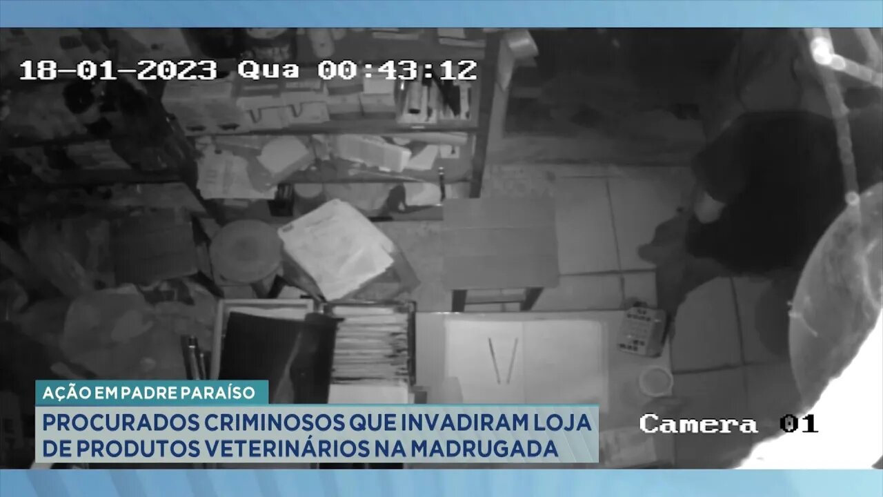 Padre Paraíso: Procurados Criminosos que Invadiram Loja de Produtos Veterinários na Madrugada.