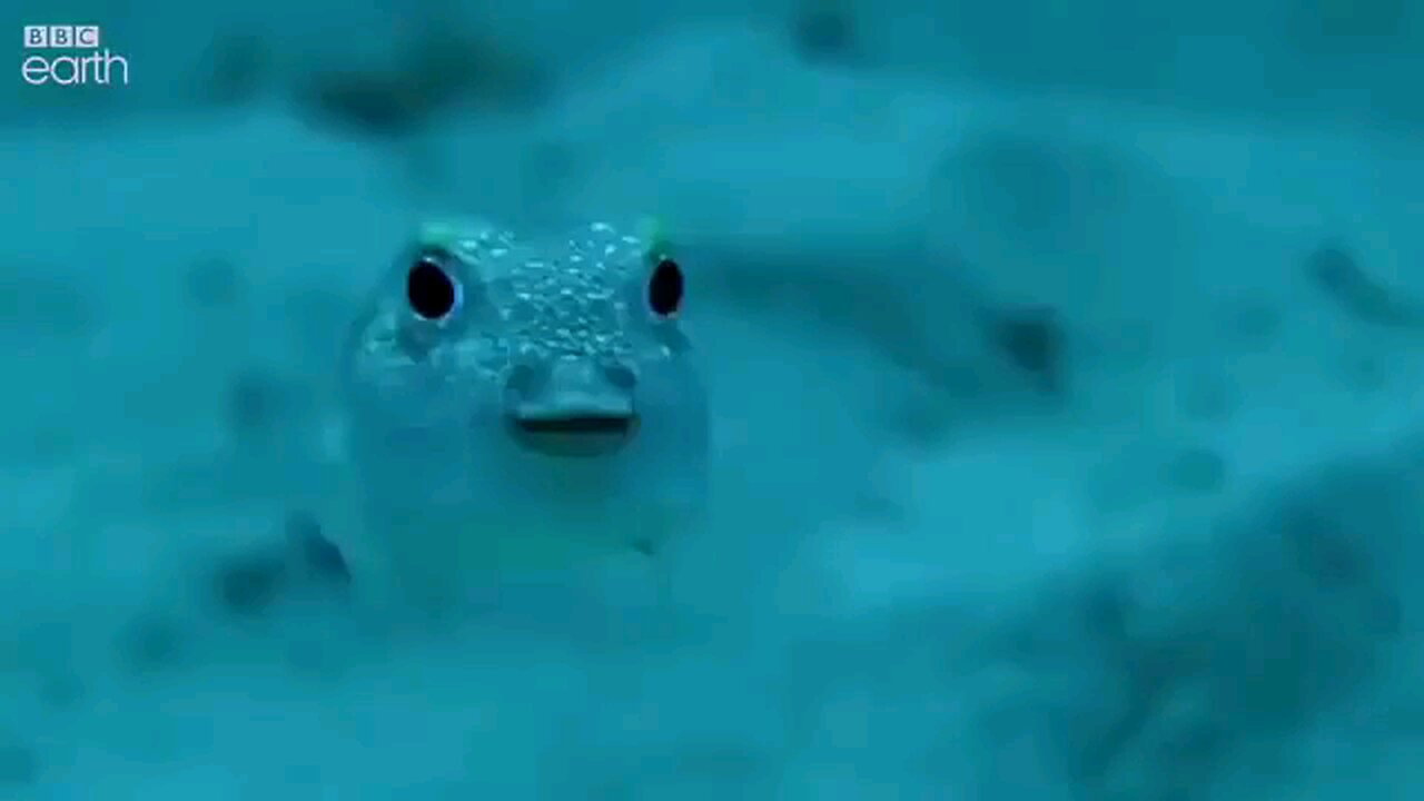 The Creators Creations Creating