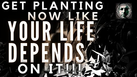 Survival Fruit Crop | Fruit Tree Tour (Revised) #Garden-tour #fruit-trees #Prepper