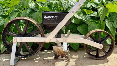 Patron Livestream Questions Answered and Garden Tour