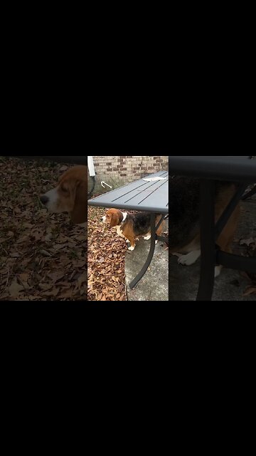 Banchee It’s Too COLD Outside