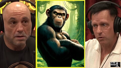 Do Chimpanzees Form Coalitions For Hierarchy And Dominance? | Joe Rogan & Peter Thiel