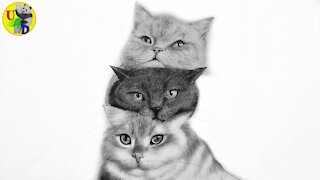 Loving Cats Pencil Drawing