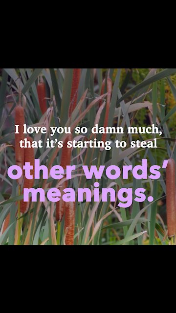 Other Words Meanings [GMG Originals]