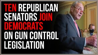 GOP JOINS Democrats To Push RIDICULOUS Gun Control